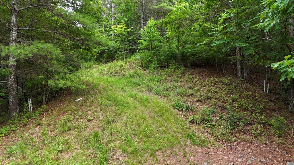 431453  Land