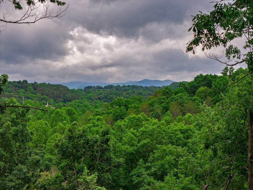 431456 Morganton
 Land