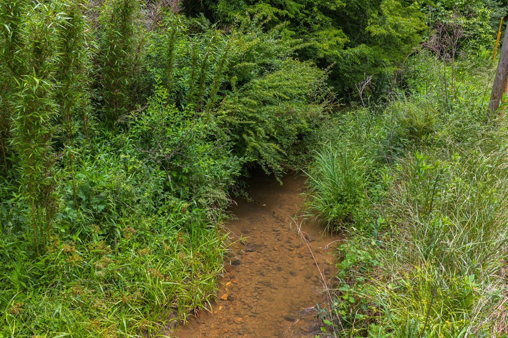 431456 Morganton
 Land