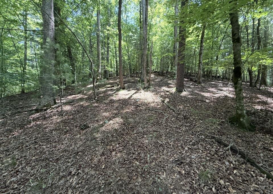 431486  Land