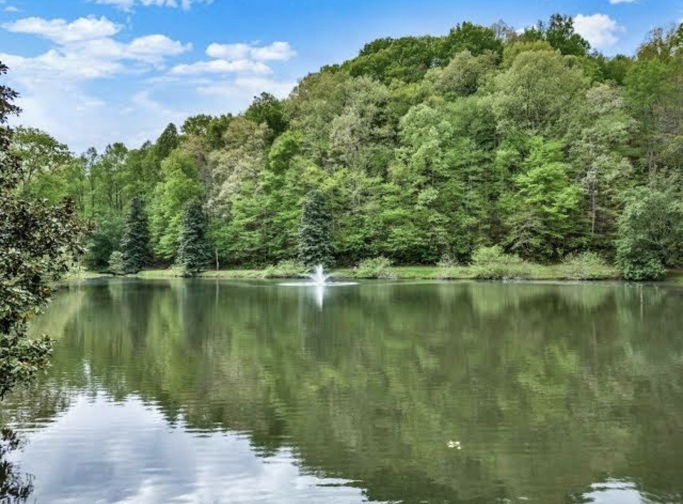 431486 Ellijay
 Land