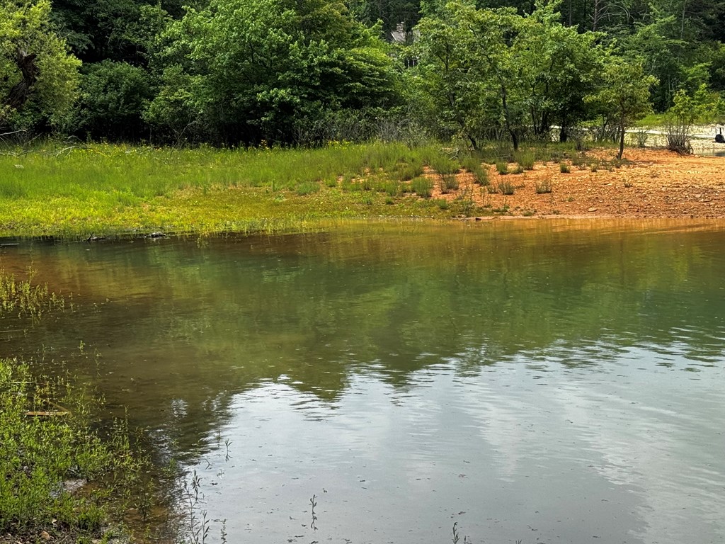 431488 Blairsville
 Land