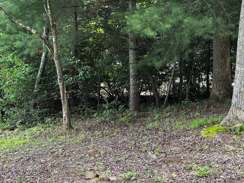431488 Blairsville
 Land