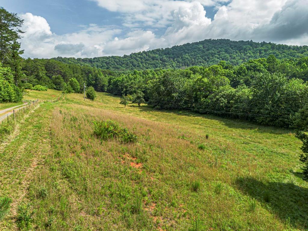 431489  Land