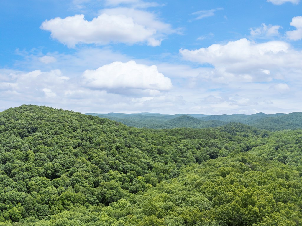 431501 Ellijay
 Land