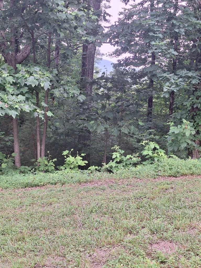 431504  Land