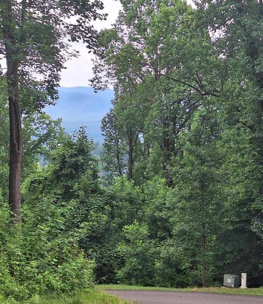 431504 Morganton
 Land