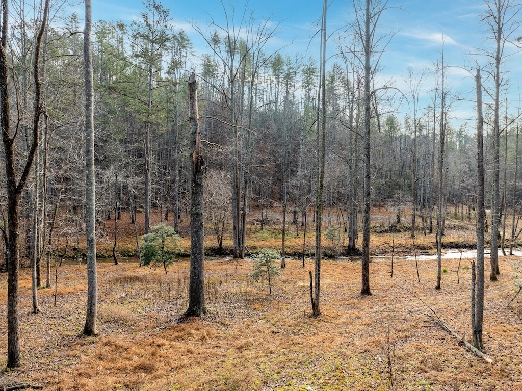 431516 Ellijay
 Land