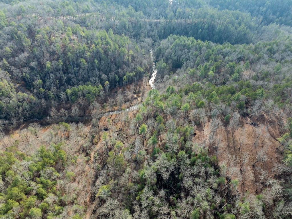 431516 Ellijay
 Land