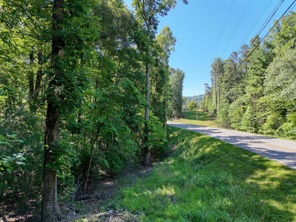 431517 Blairsville
 Land