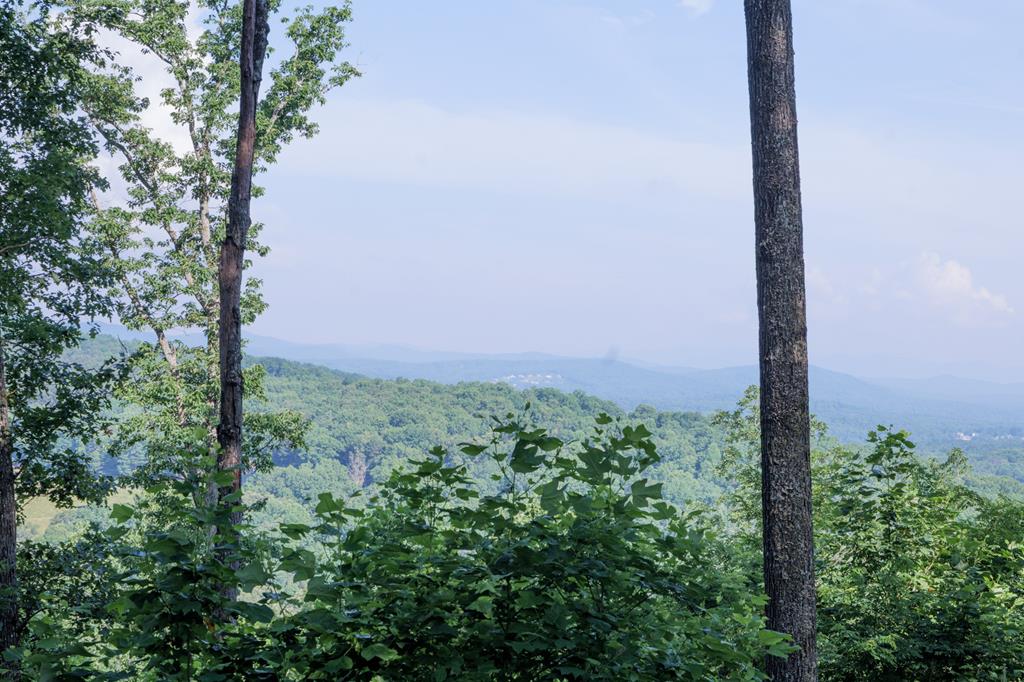 431524 Blairsville
 Land