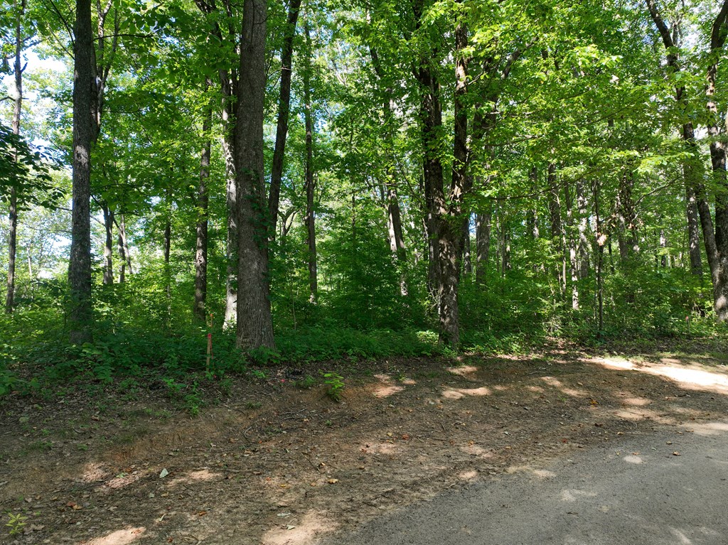 431534 Ellijay
 Land