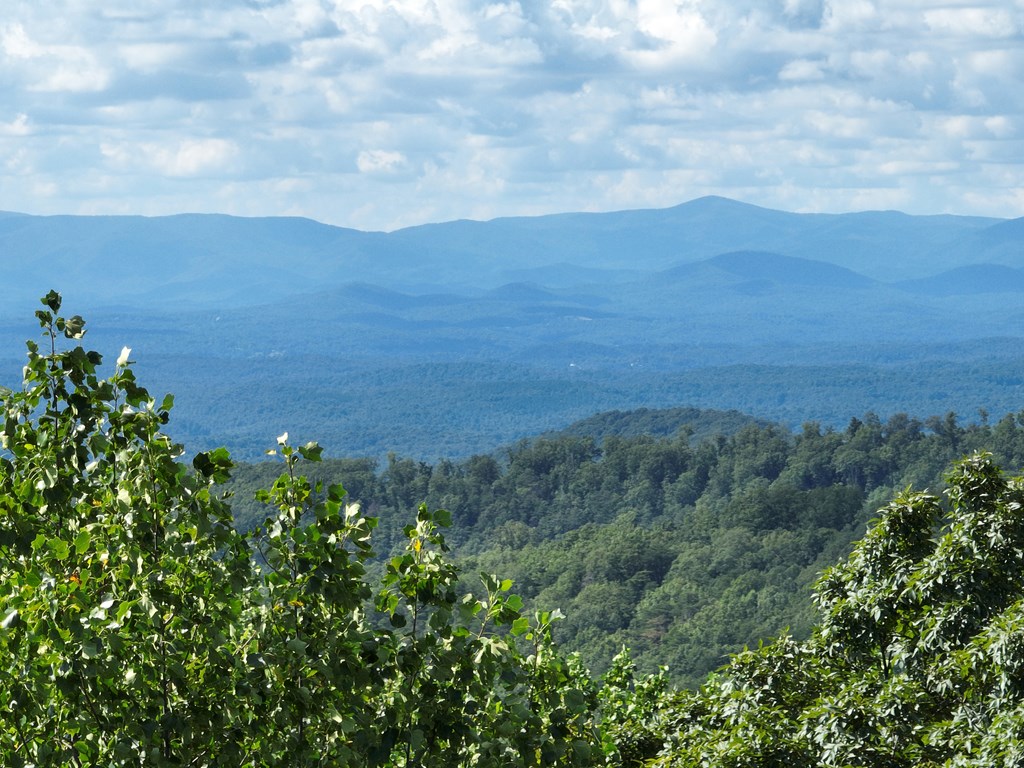 431534 Ellijay
 Land