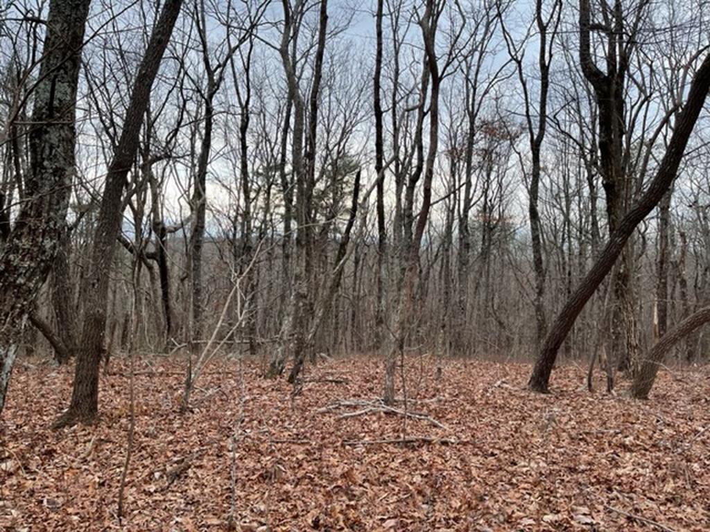 431537  Land
