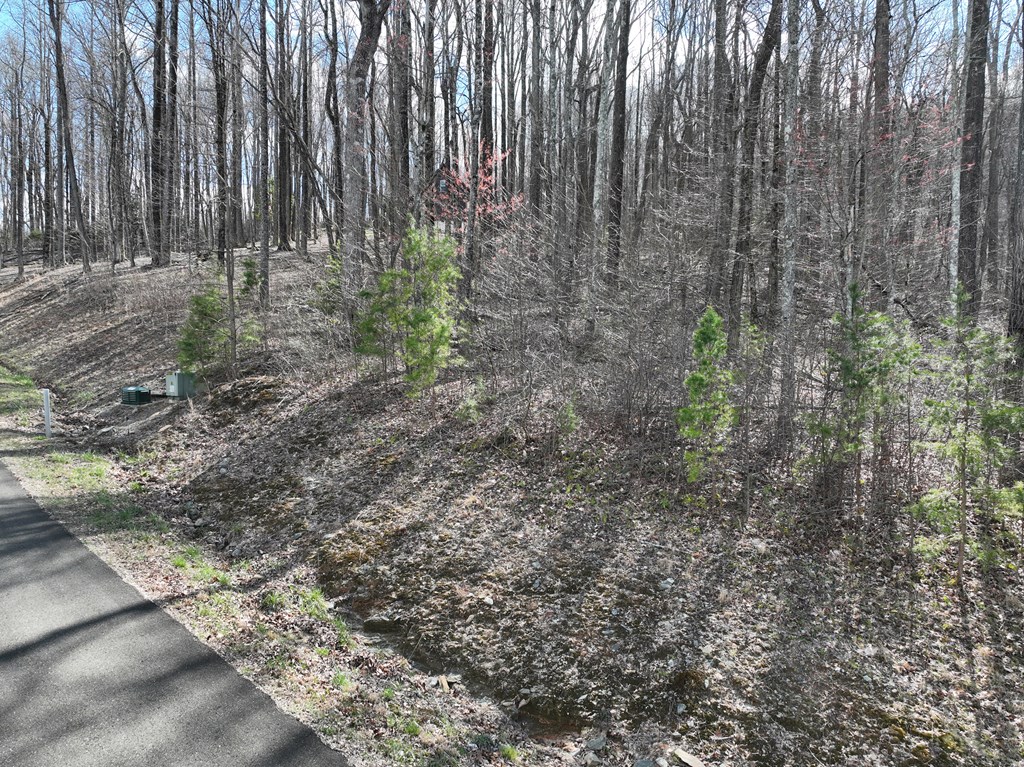431540 Ellijay
 Land