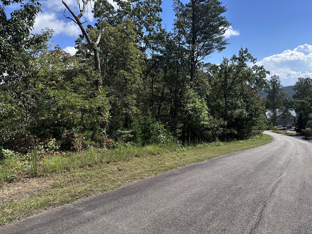 431545 Ellijay
 Land