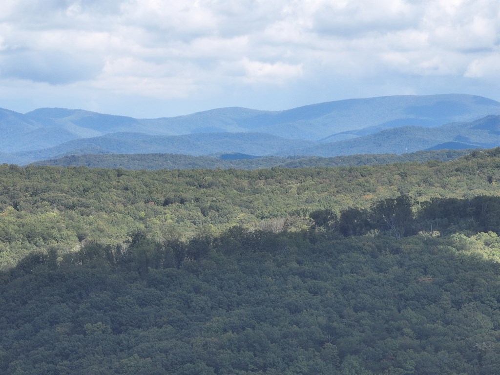 431545 Ellijay
 Land