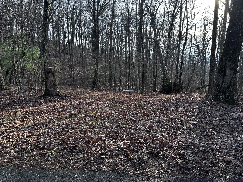 431547 Jasper
 Land