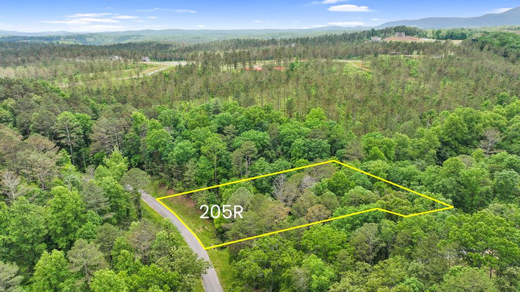 431548 Ellijay
 Land