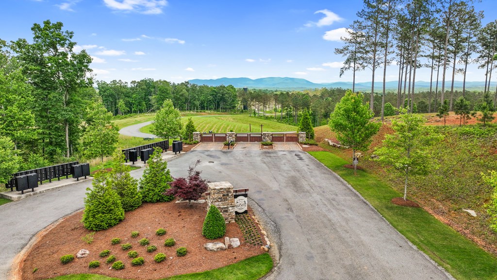 431548 Ellijay
 Land