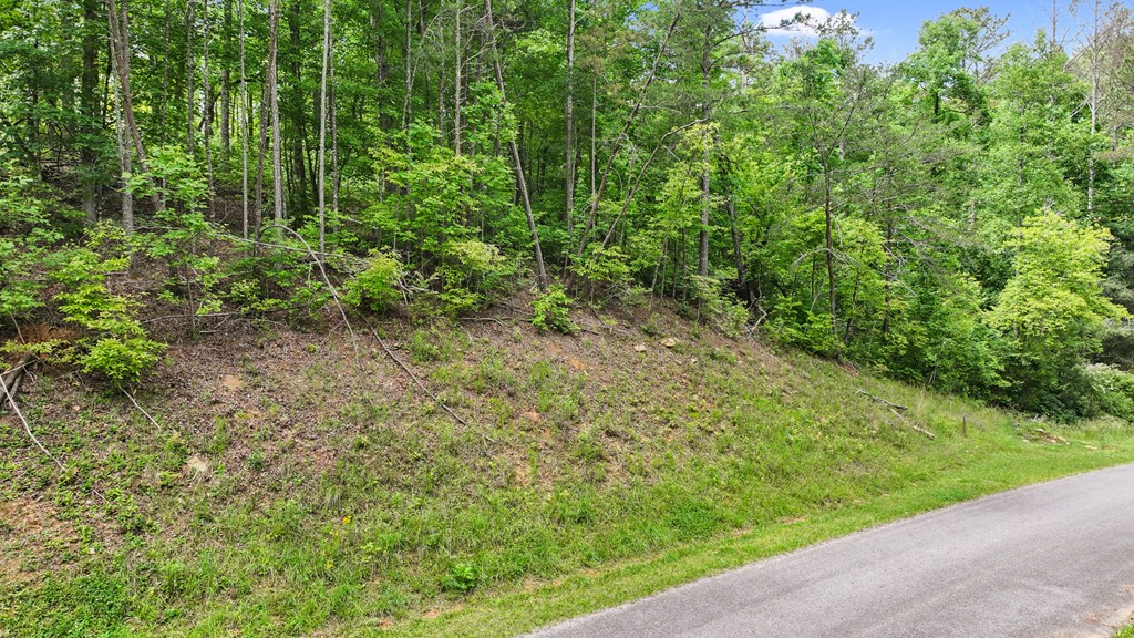 431548 Ellijay
 Land