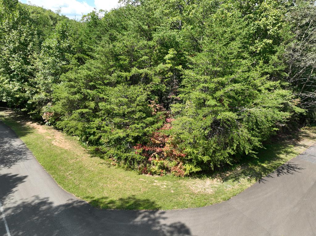 431556 Ellijay
 Land