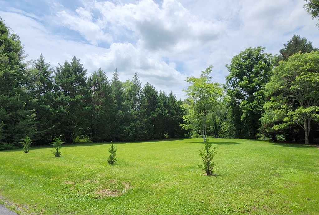 431566 Hayesville
 Land
