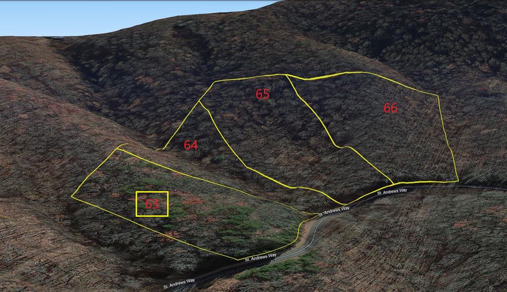 431568  Land
