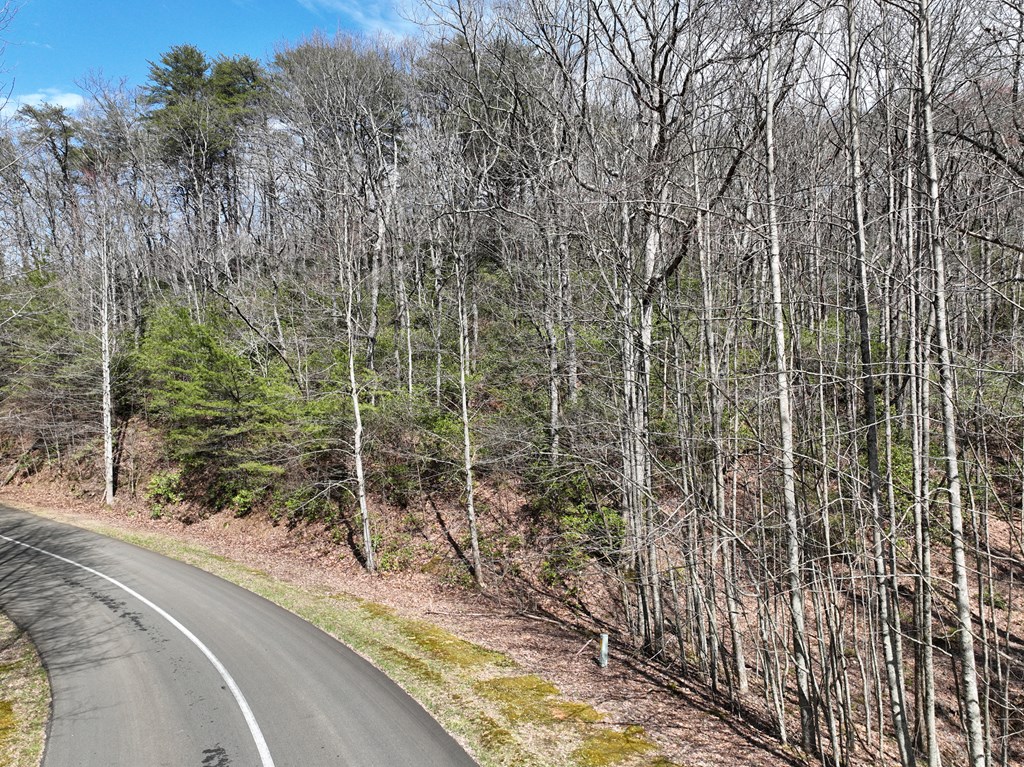 431568 Ellijay
 Land