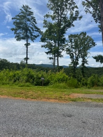 431570 Ellijay
 Land