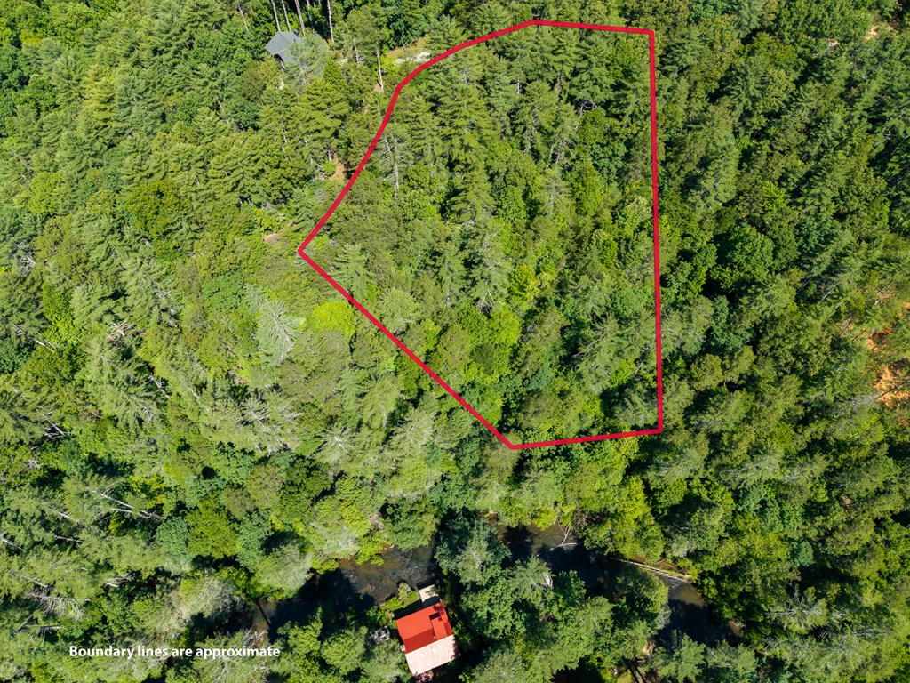 431573 Ellijay
 Land