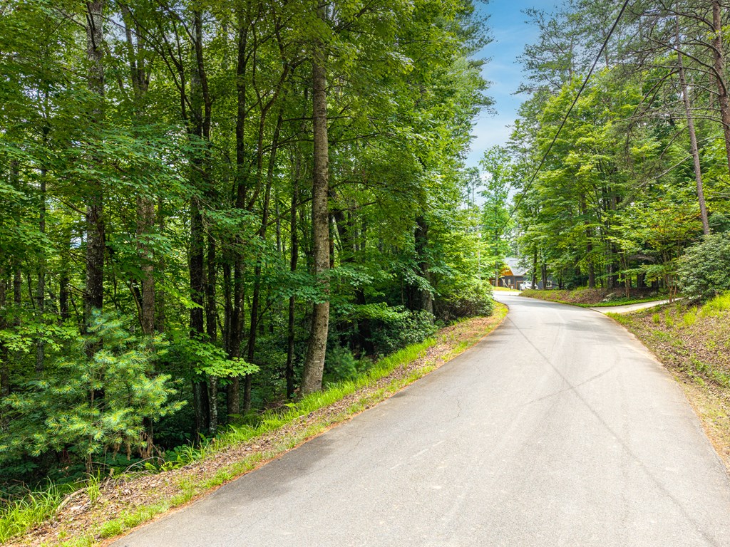 431573 Ellijay
 Land