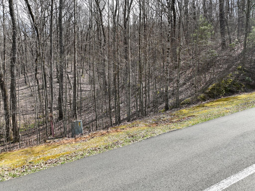 431574 Ellijay
 Land