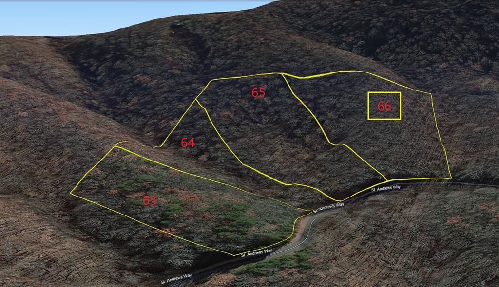431576  Land