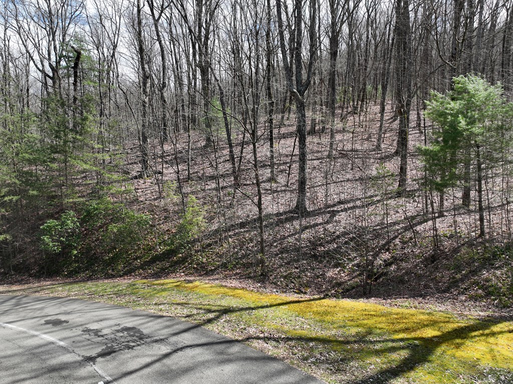 431576 Ellijay
 Land