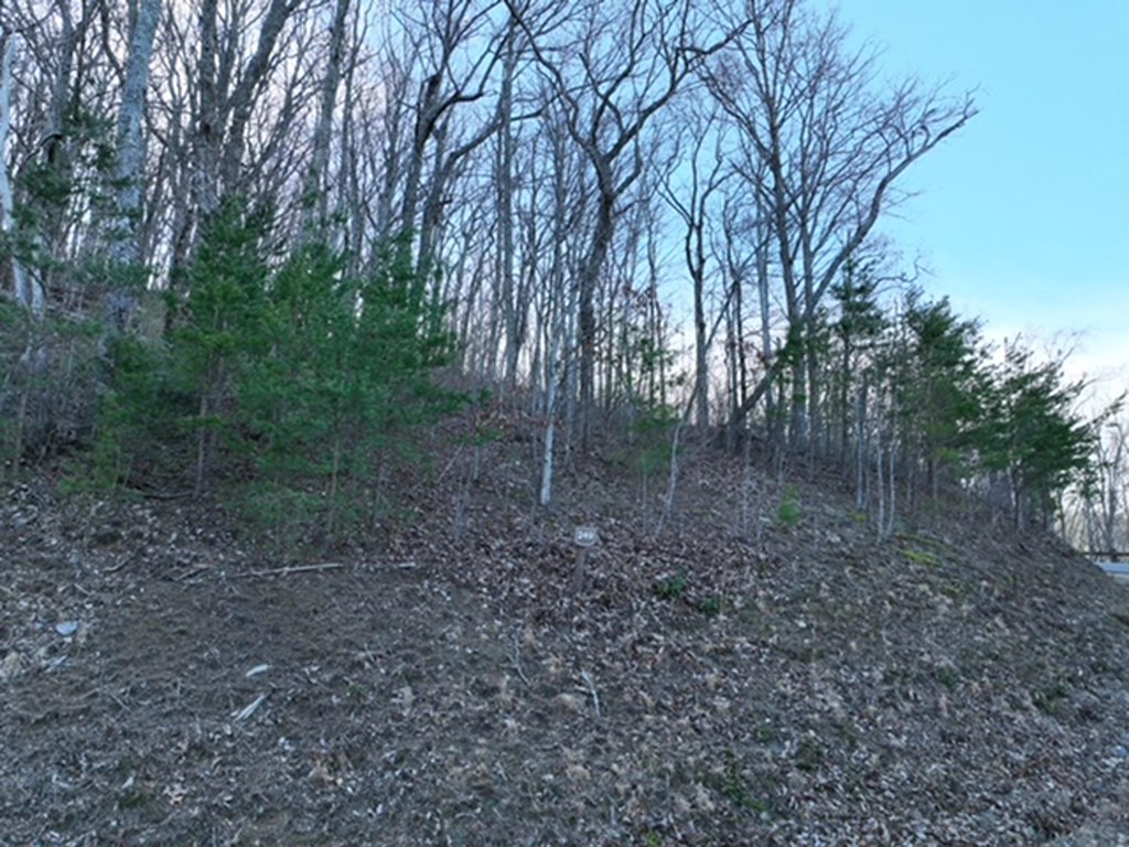 431583 Ellijay
 Land