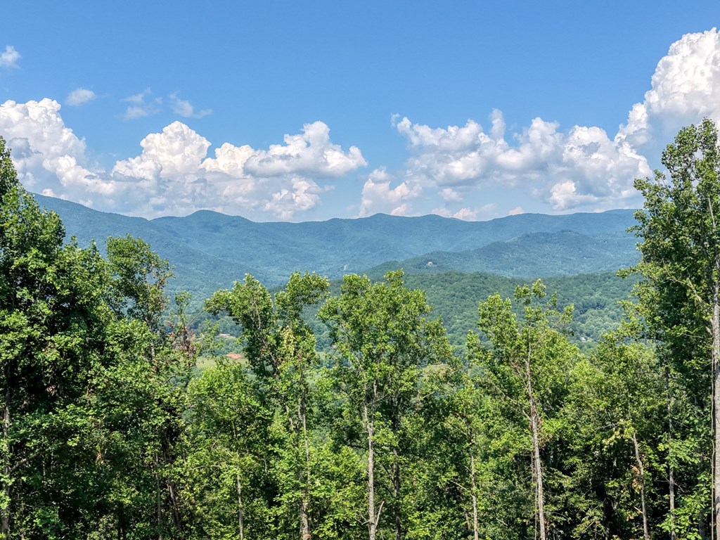 431603 Hayesville
 Land