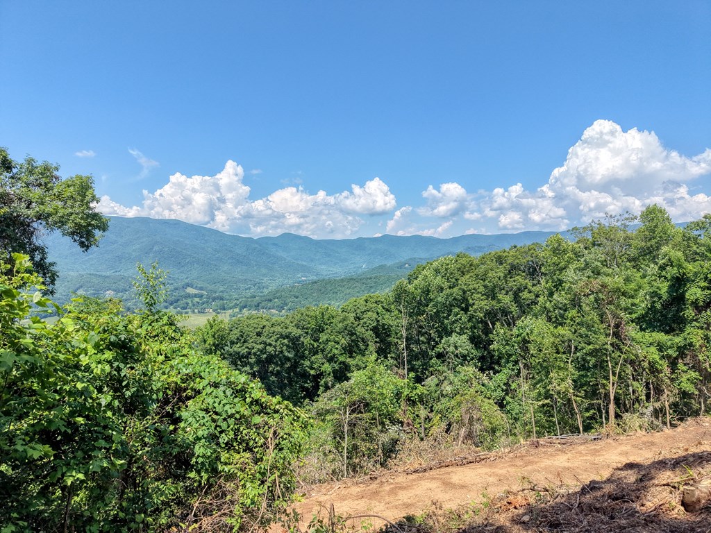 431603 Hayesville
 Land