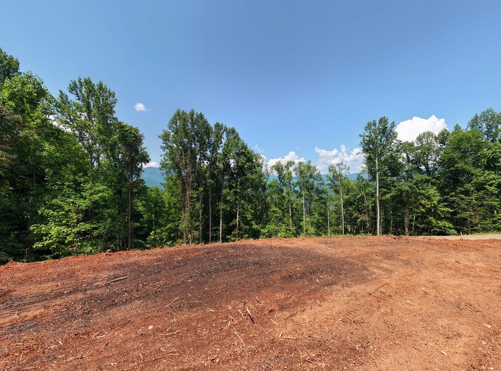431606  Land