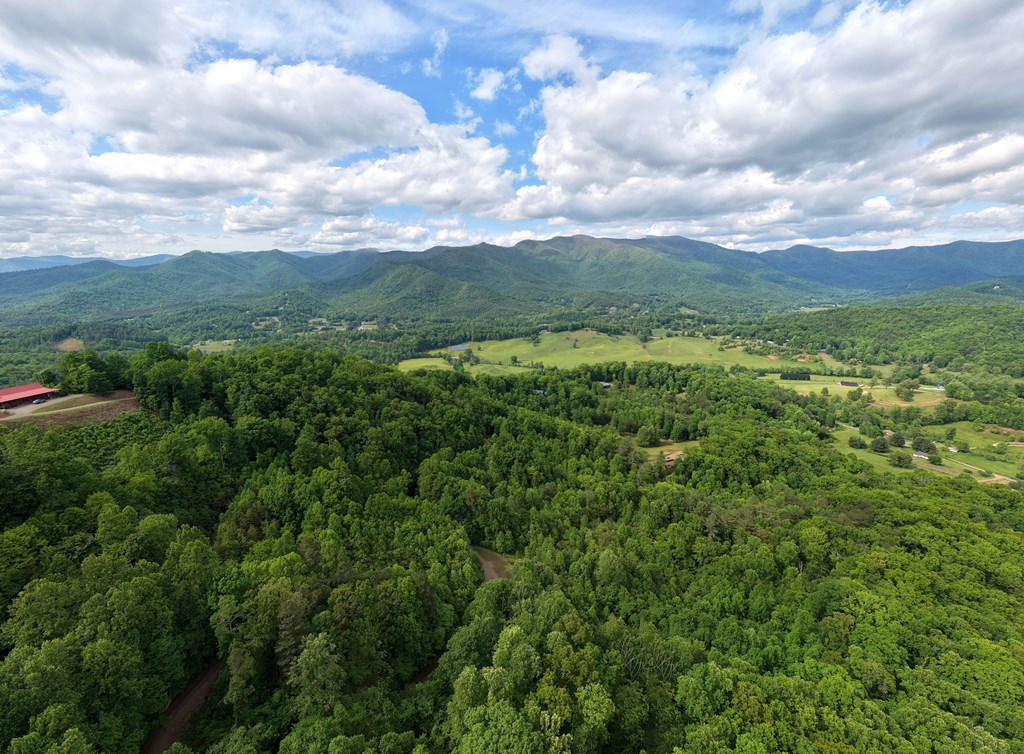 431606 Hayesville
 Land
