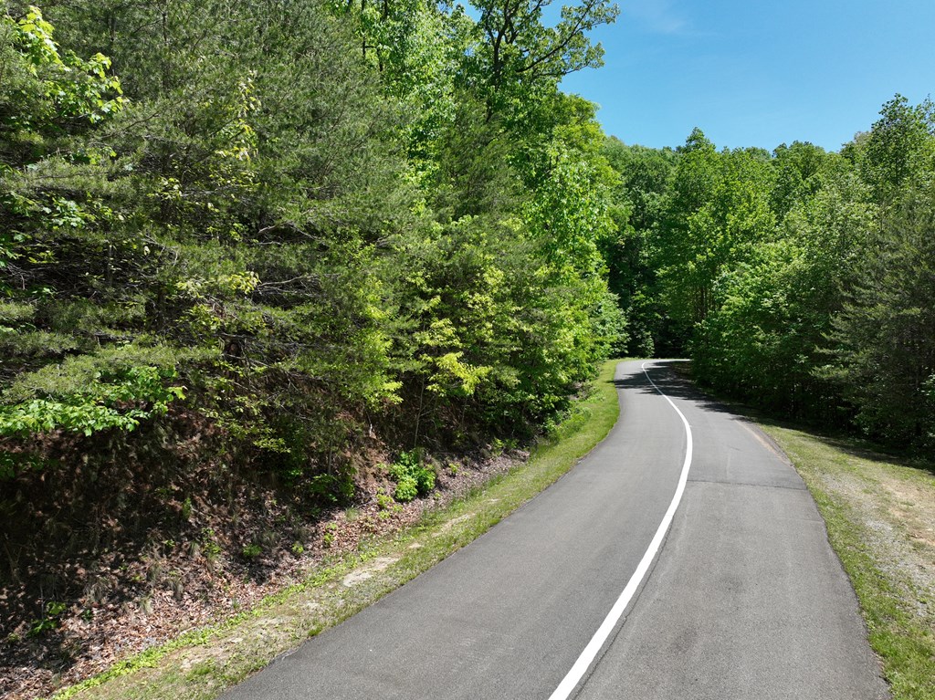 431611 Ellijay
 Land