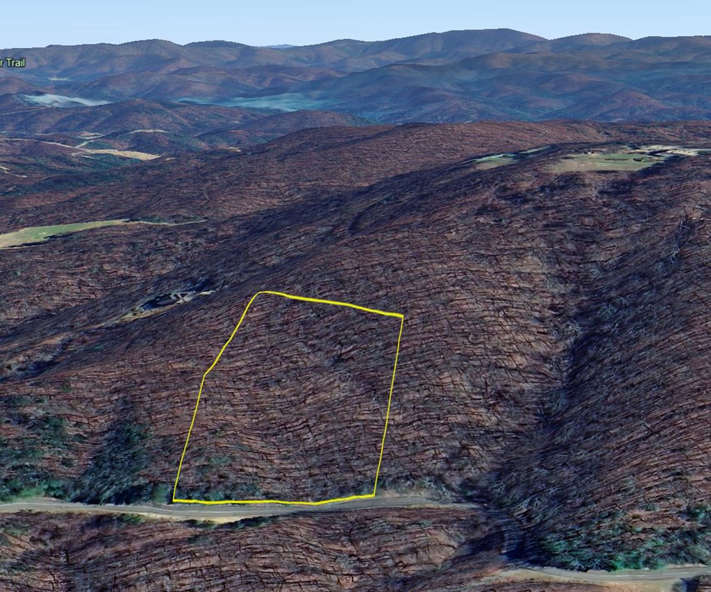 431611 Ellijay
 Land