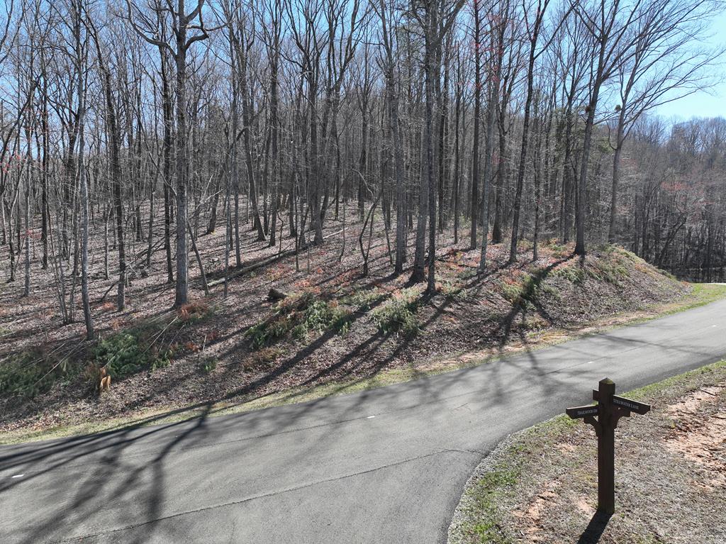 431617  Land