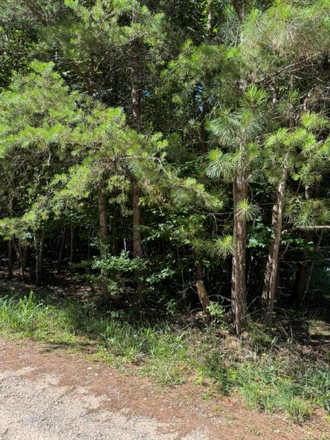 431618  Land