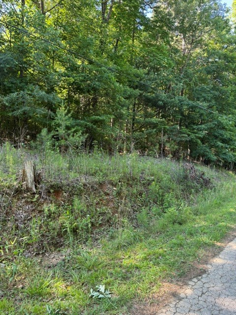 431618 Ellijay
 Land