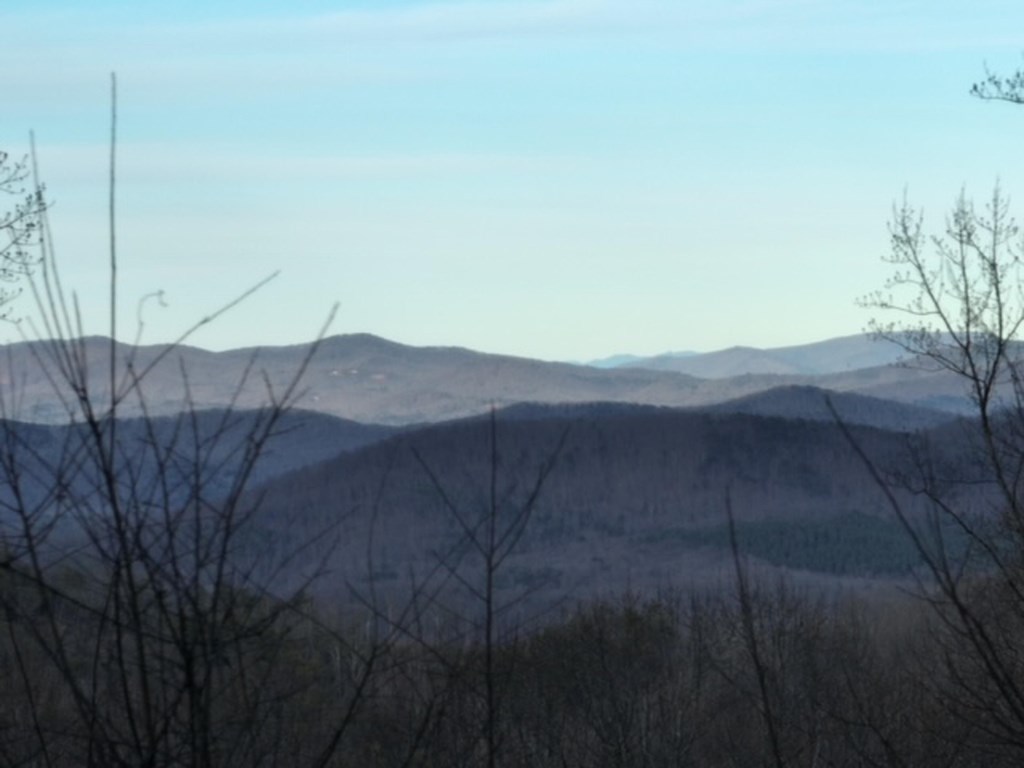 431622 Ellijay
 Land