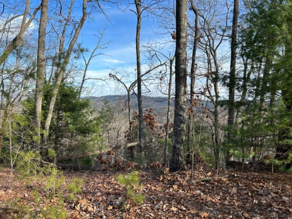 431631  Land