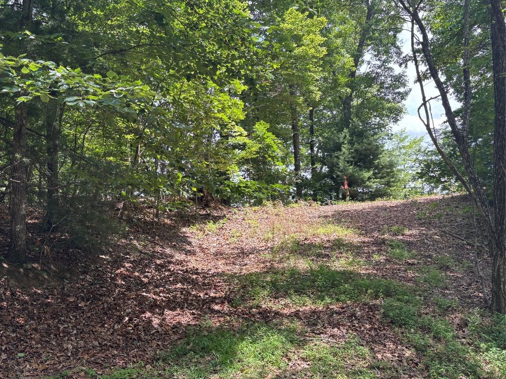 431631 Hayesville
 Land