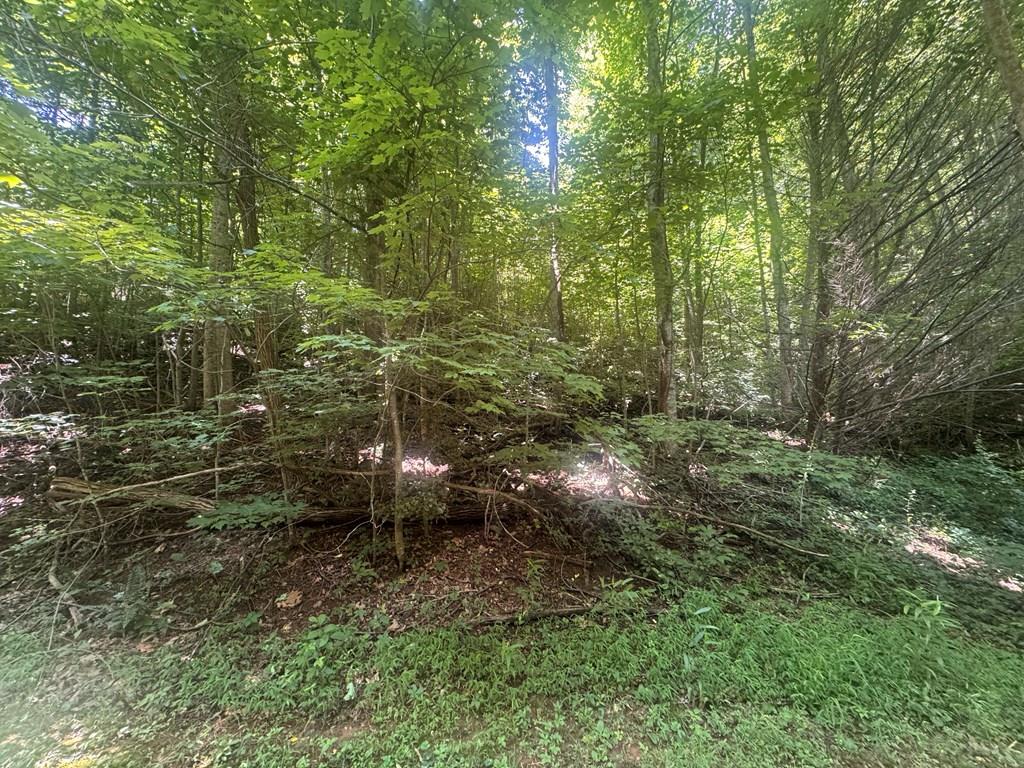 431632 Blairsville
 Land