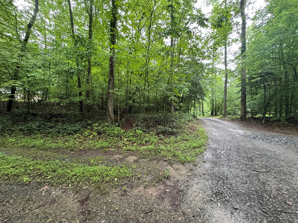 431635 Ellijay
 Land